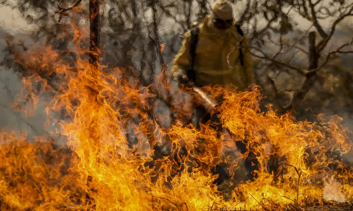 Incêndio atinge parque nacional no norte da Bahia