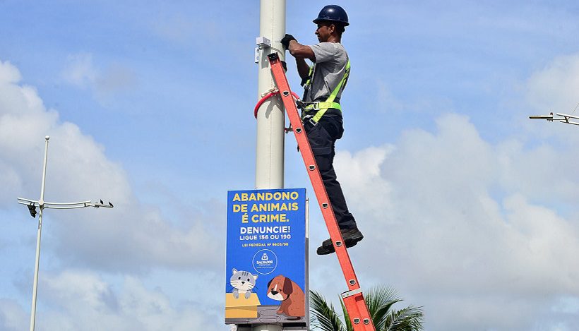 <strong>Câmeras de alta resolução são instaladas em Piatã para coibir abandono animal</strong>