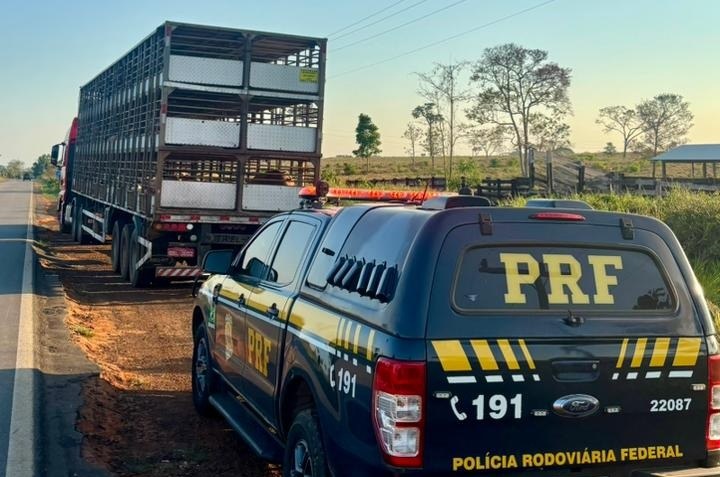 Cavalos soltos nas ruas assustam moradores e provocam acidente na Bahia