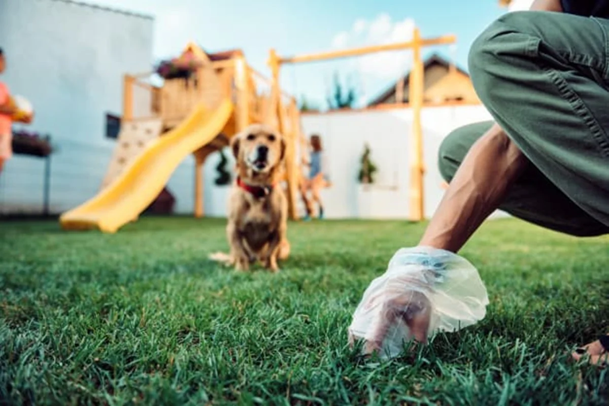 Briga por fezes de cachorro acaba em indenização