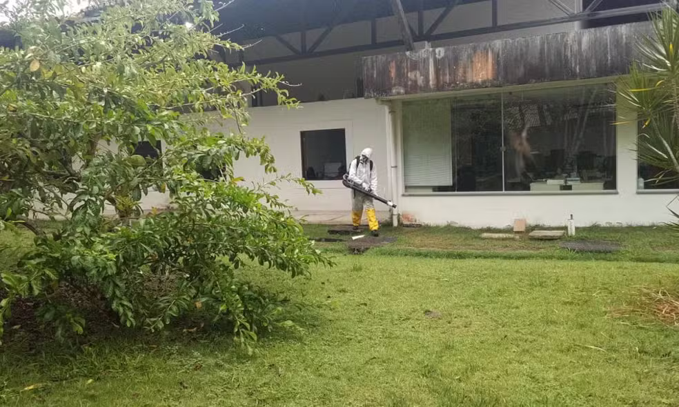 Pulgas levam à suspensão de aulas em Universidade federal na Bahia 