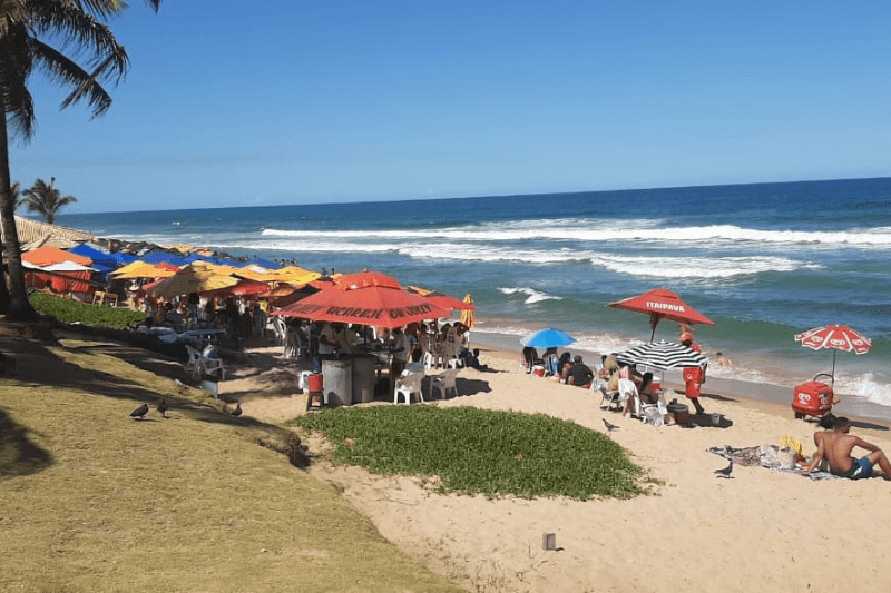 98 praias estão próprias para banho na Bahia