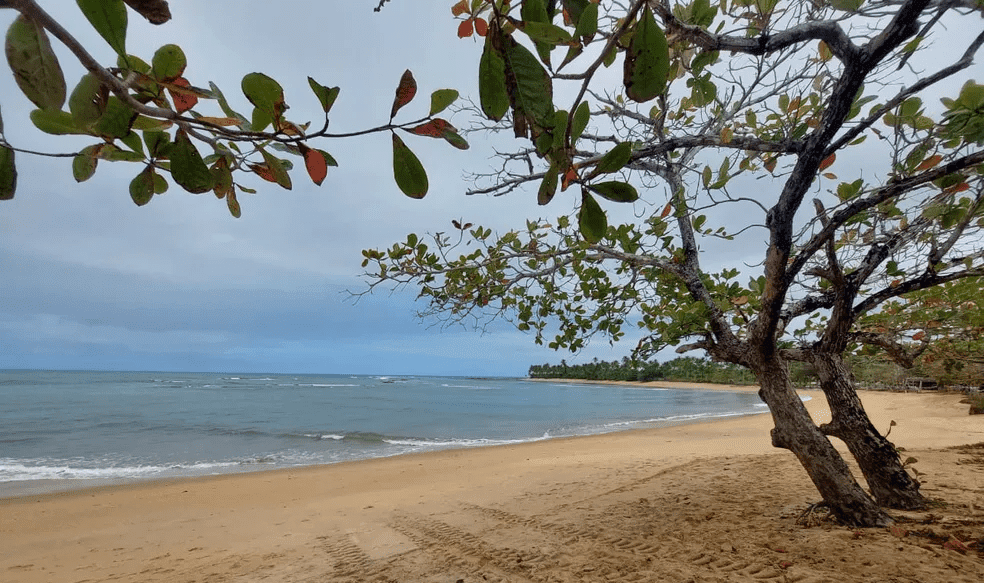Adolescente morre após se afogar em praia de Trancoso