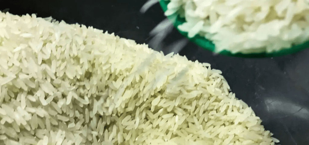 Governo Federal firma acordo com setor do arroz e lança programa de incentivo à produção