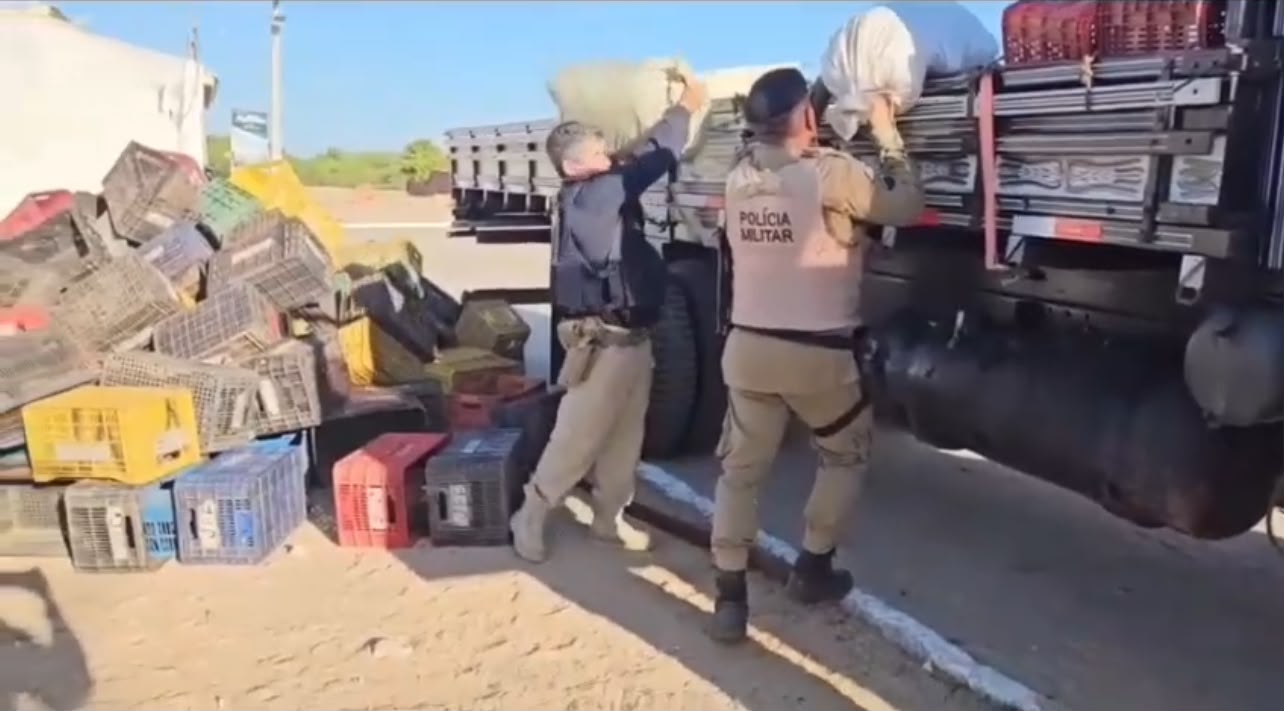Mais de 300 kg de maconha são apreendidos em caminhão na Bahia