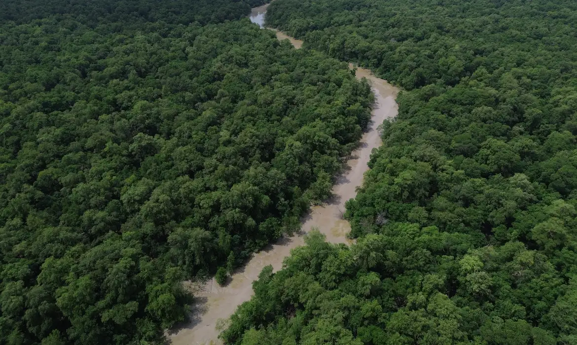 Desmatamento cai na Amazônia e no Cerrado
