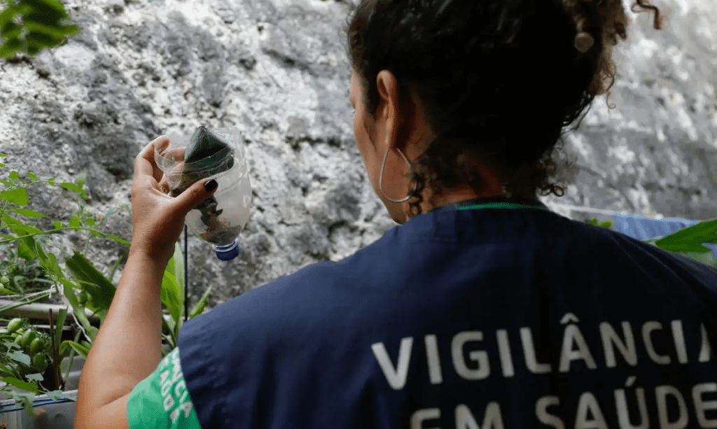 Brasil pode registrar até 4,2 milhões de casos de dengue em 2024, aponta Saúde