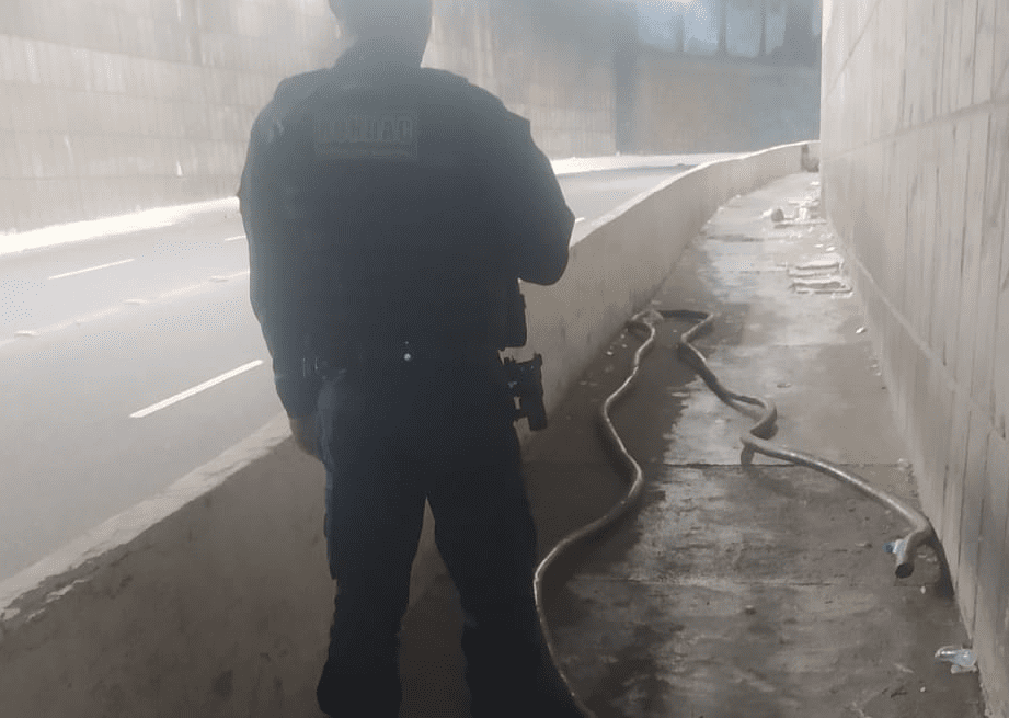 Suspeitos roubam quase 60 metros de fios e são detidos pela Guarda Civil Municipal