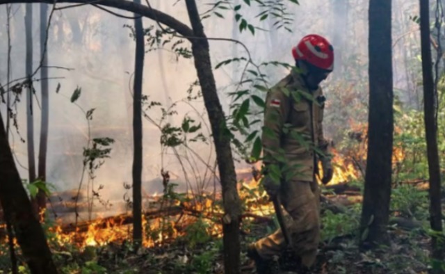 Incêndio no Amazonas atinge 200 hectares de floresta e ameaça casas em Itacoatiara  
