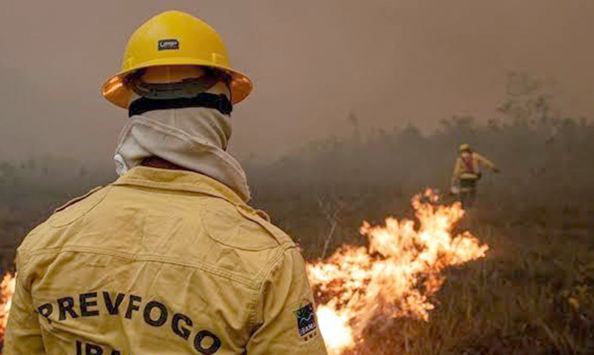 Juíza cobra explicações sobre combate a incêndios na Amazônia